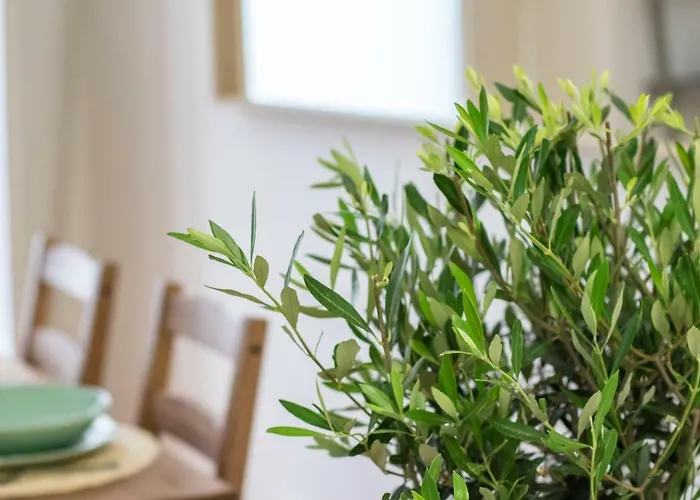 Principe Real Apartmán Lisboa