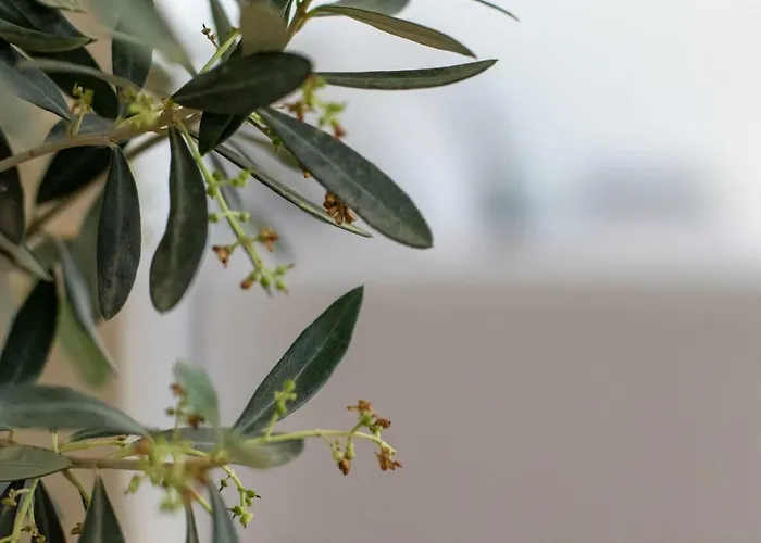 Principe Real Apartmán Lisboa