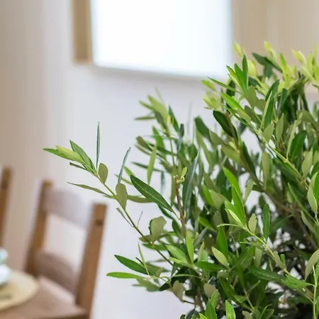 Principe Real Апартаменти Лісабон