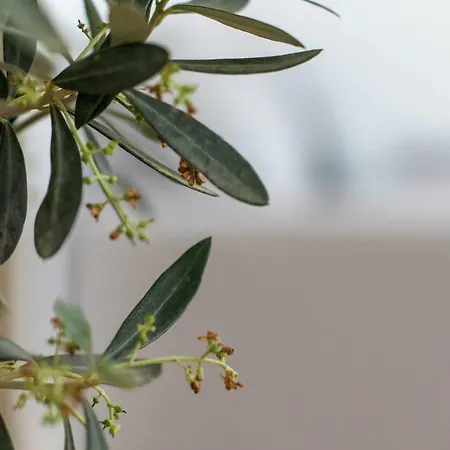 Principe Real Apartman Lisboa